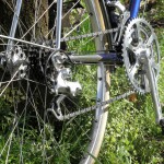 OLYMPUS DIGITAL CAMERA